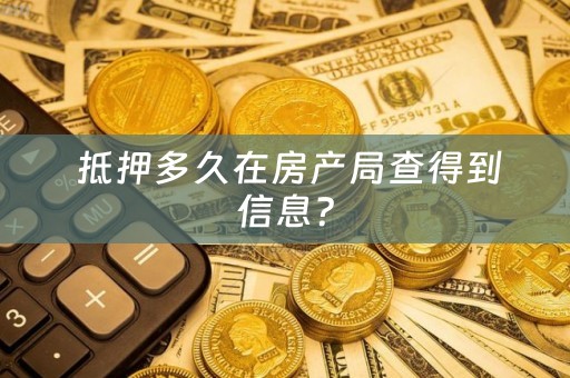  抵押多久在房产局查得到信息？