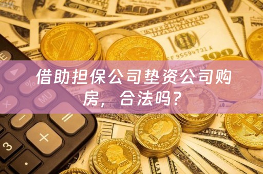  借助担保公司垫资公司购房，合法吗？