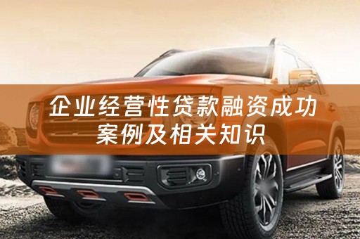  企业经营性贷款融资成功案例及相关知识