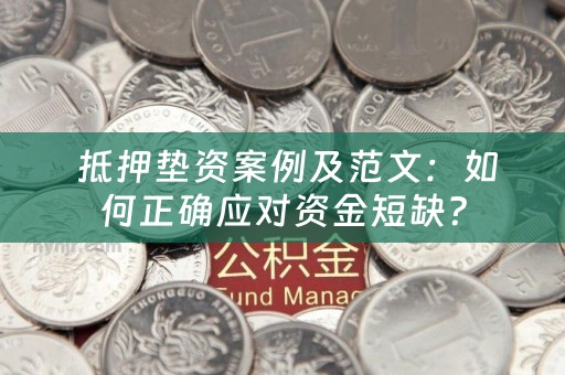  抵押垫资案例及范文：如何正确应对资金短缺？