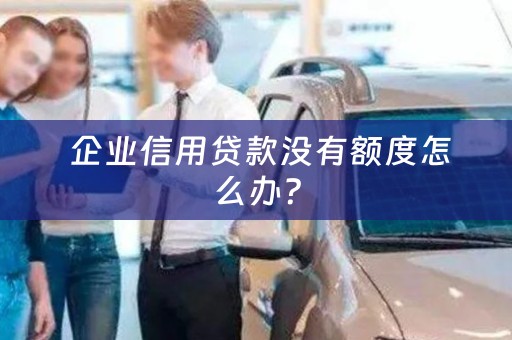  企业信用贷款没有额度怎么办？