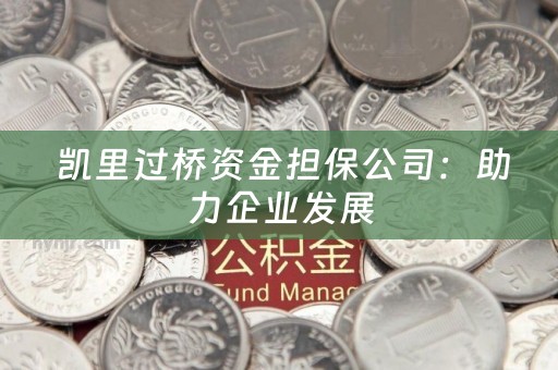  凯里过桥资金担保公司：助力企业发展