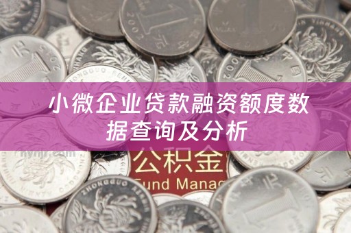  小微企业贷款融资额度数据查询及分析