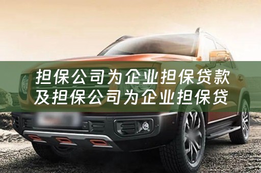  担保公司为企业担保贷款及担保公司为企业担保贷款企业要提供什么