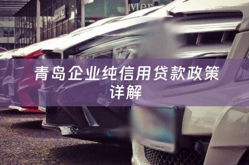  青岛企业纯信用贷款政策详解