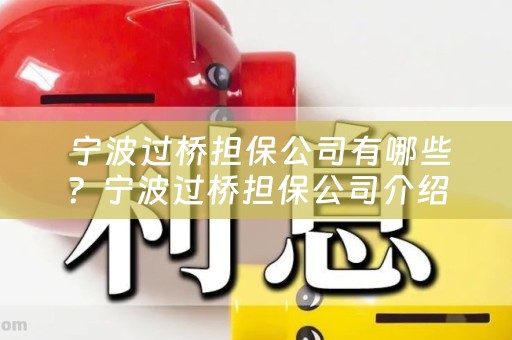  宁波过桥担保公司有哪些？宁波过桥担保公司介绍