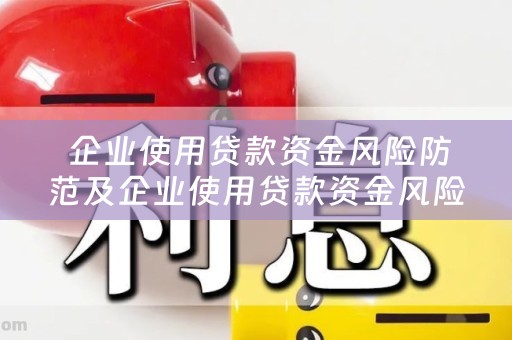  企业使用贷款资金风险防范及企业使用贷款资金风险防范措施