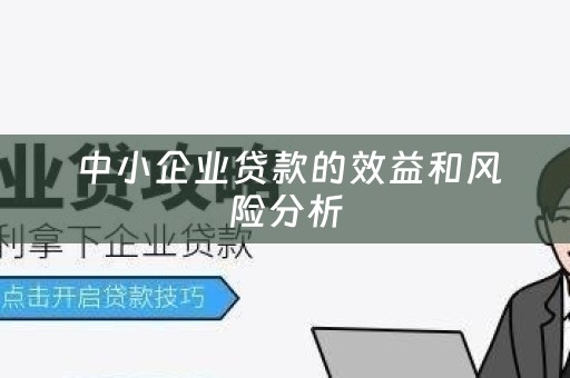  中小企业贷款的效益和风险分析