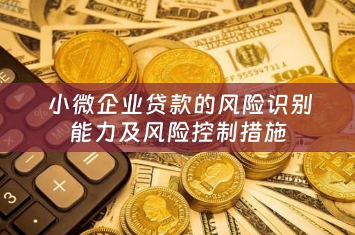  小微企业贷款的风险识别能力及风险控制措施