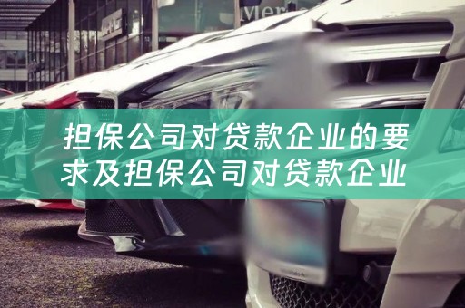  担保公司对贷款企业的要求及担保公司对贷款企业的要求有哪些？