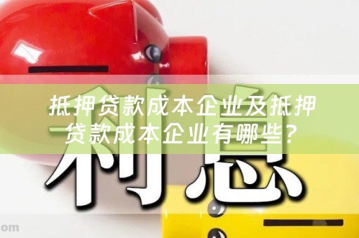  抵押贷款成本企业及抵押贷款成本企业有哪些？