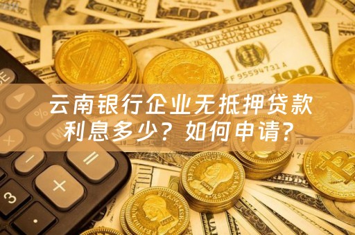  云南银行企业无抵押贷款利息多少？如何申请？