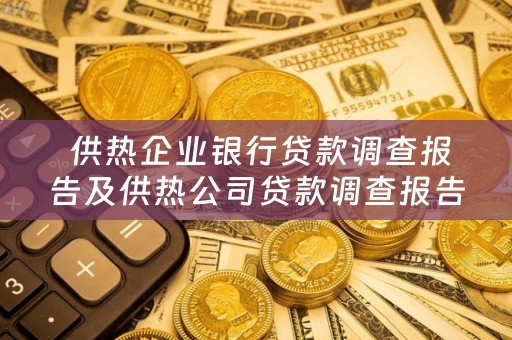  供热企业银行贷款调查报告及供热公司贷款调查报告