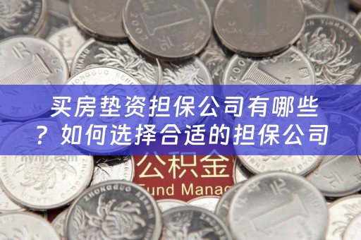  买房垫资担保公司有哪些？如何选择合适的担保公司？