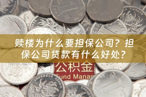  赎楼为什么要担保公司？担保公司贷款有什么好处？