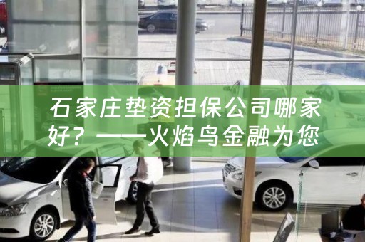  石家庄垫资担保公司哪家好？——火焰鸟金融为您解答
