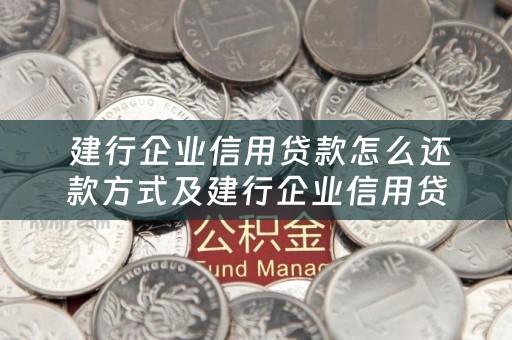  建行企业信用贷款怎么还款方式及建行企业信用贷款怎么还款方式最好