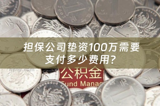  担保公司垫资100万需要支付多少费用？