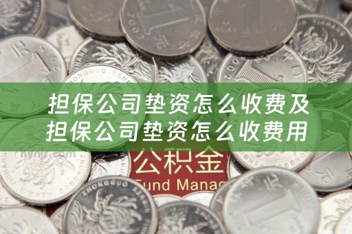  担保公司垫资怎么收费及担保公司垫资怎么收费用