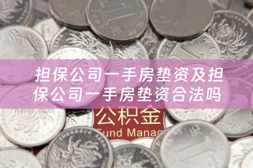  担保公司一手房垫资及担保公司一手房垫资合法吗