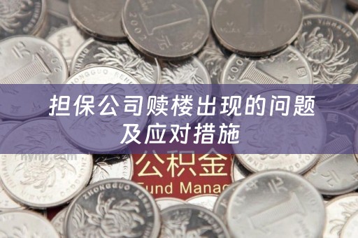  担保公司赎楼出现的问题及应对措施