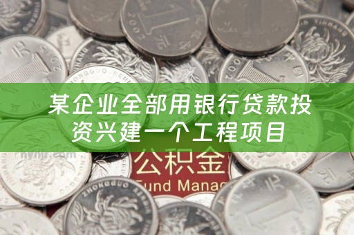  某企业全部用银行贷款投资兴建一个工程项目