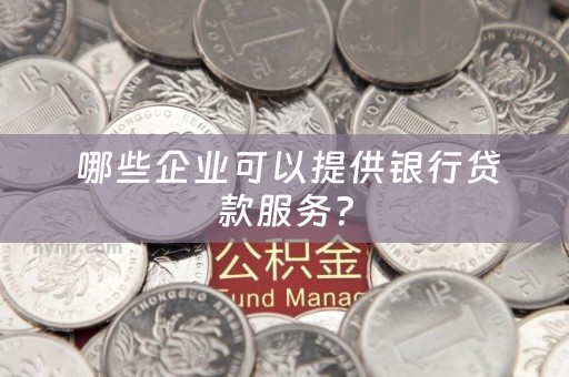  哪些企业可以提供银行贷款服务？