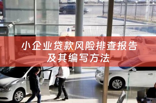 小企业贷款风险排查报告及其编写方法