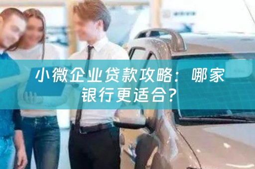  小微企业贷款攻略：哪家银行更适合？