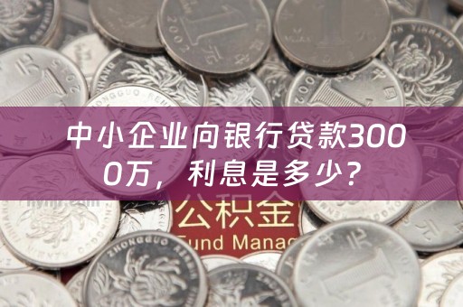  中小企业向银行贷款3000万，利息是多少？