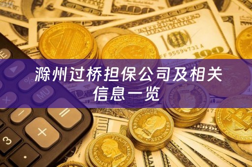  滁州过桥担保公司及相关信息一览