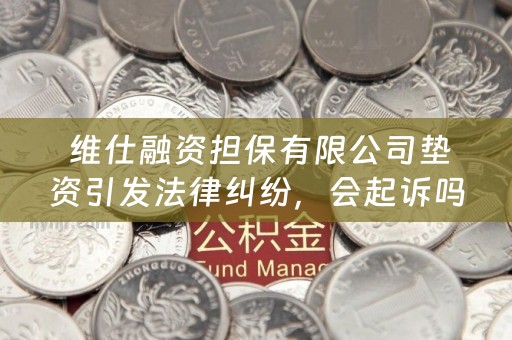  维仕融资担保有限公司垫资引发法律纠纷，会起诉吗？