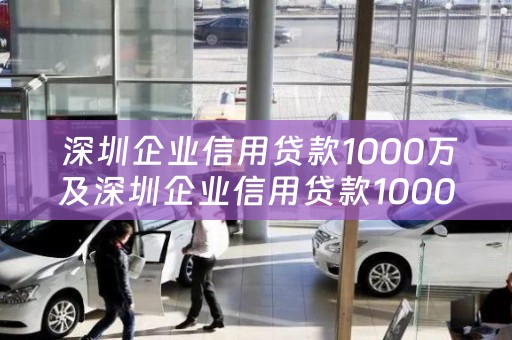  深圳企业信用贷款1000万及深圳企业信用贷款1000万利息多少？