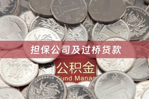  担保公司及过桥贷款