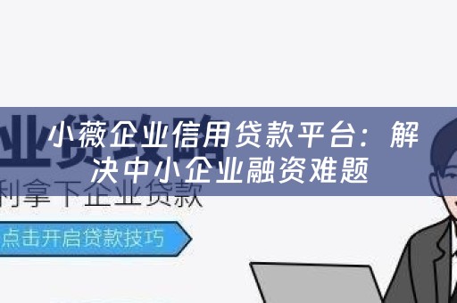  小薇企业信用贷款平台：解决中小企业融资难题