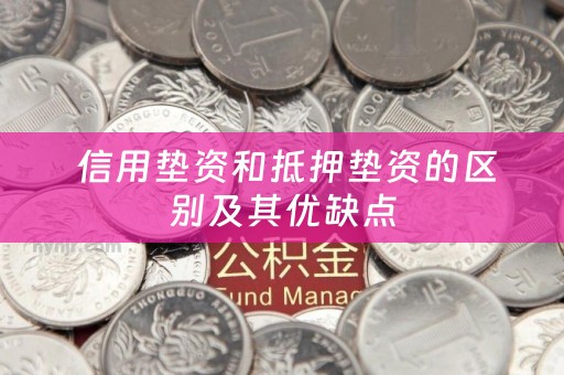  信用垫资和抵押垫资的区别及其优缺点