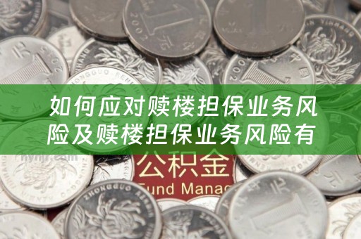  如何应对赎楼担保业务风险及赎楼担保业务风险有哪些