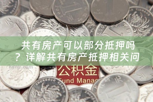  共有房产可以部分抵押吗？详解共有房产抵押相关问题