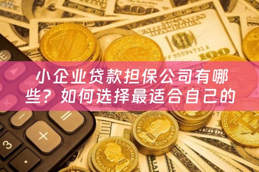  小企业贷款担保公司有哪些？如何选择最适合自己的担保公司？