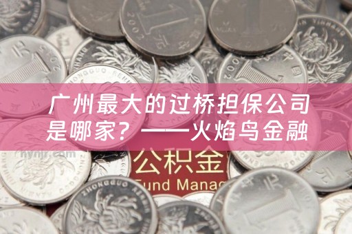  广州最大的过桥担保公司是哪家？——火焰鸟金融