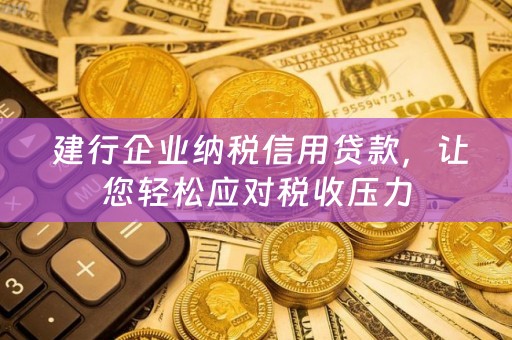  建行企业纳税信用贷款，让您轻松应对税收压力