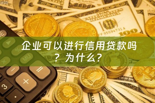  企业可以进行信用贷款吗？为什么？