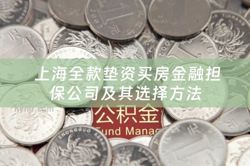  上海全款垫资买房金融担保公司及其选择方法