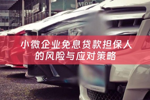 小微企业免息贷款担保人的风险与应对策略