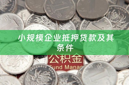  小规模企业抵押贷款及其条件
