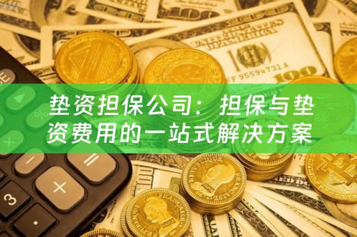  垫资担保公司：担保与垫资费用的一站式解决方案