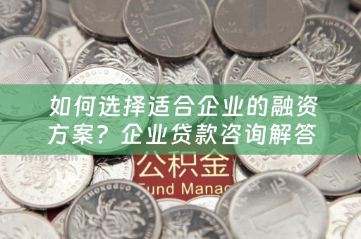  如何选择适合企业的融资方案？企业贷款咨询解答
