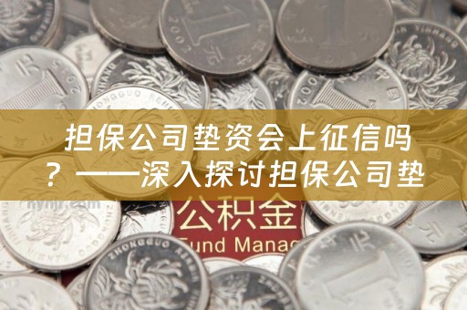  担保公司垫资会上征信吗？——深入探讨担保公司垫资和信用记录的关系