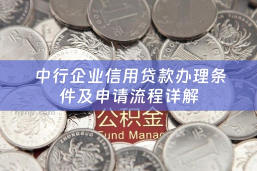  中行企业信用贷款办理条件及申请流程详解