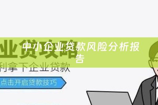  中小企业贷款风险分析报告